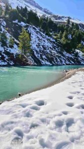 WhatsApp Image 2026 01 22 at 11