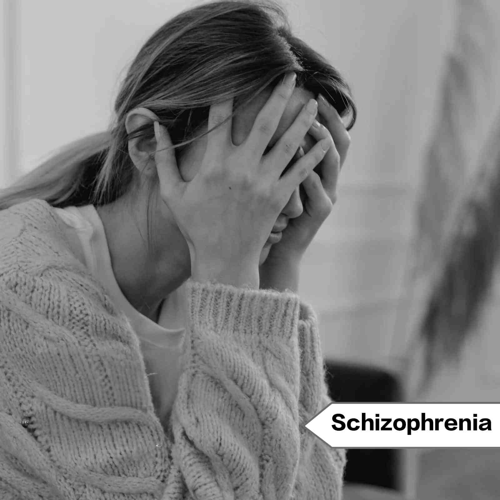 WhatsApp Image 2026 02 07 at 10